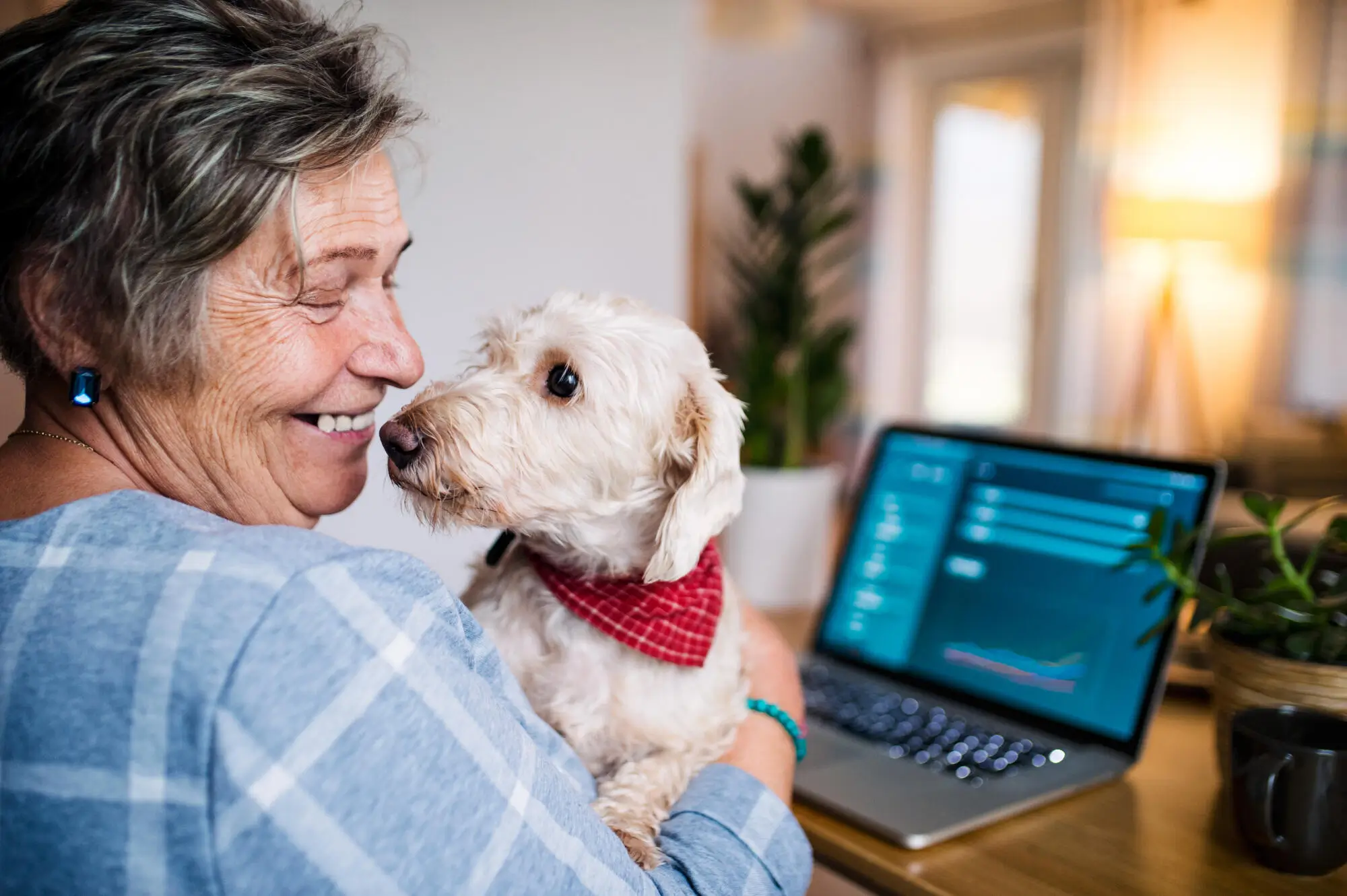 Pros and Cons of Allowing Pets in Your Corpus Christi, TX, Rental Property