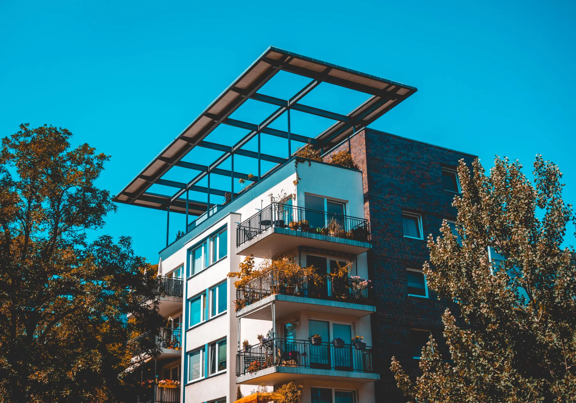 Pros and Cons of Section 8 Tenants: A Guide for Corpus Christi Landlords